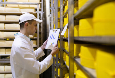 man with a graph in his hand checks the statistics in the cheese warehouse